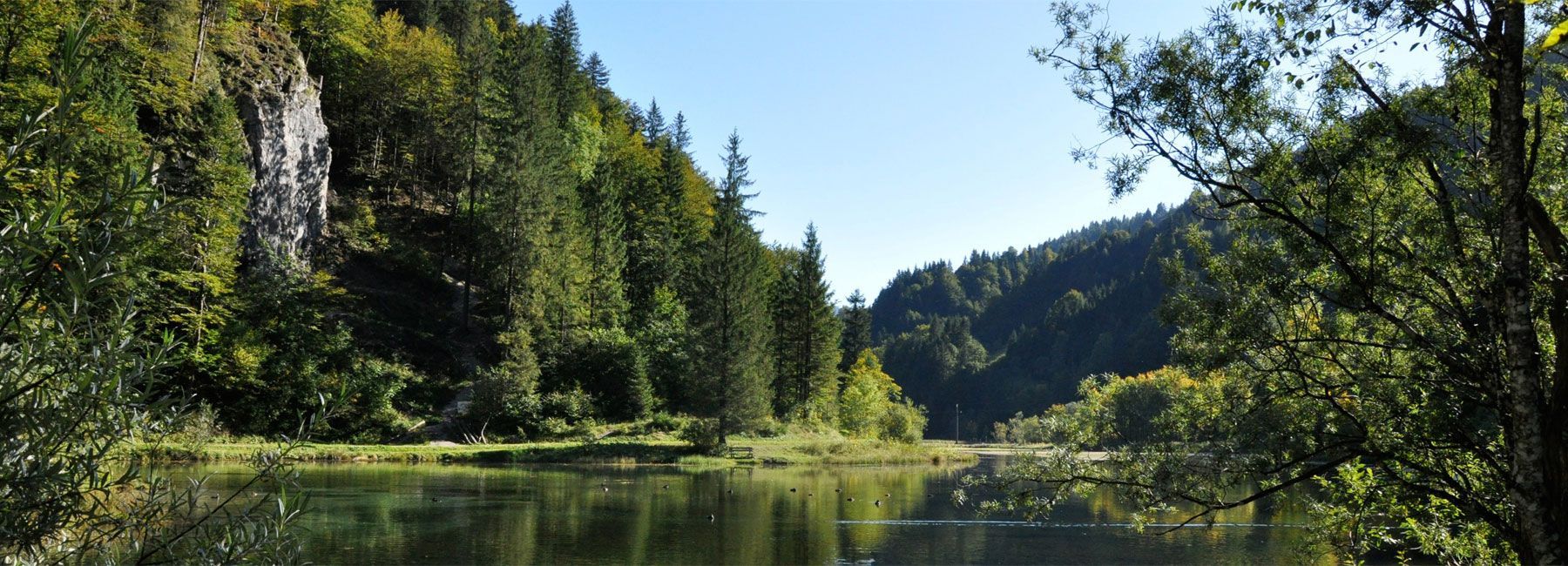 Wiesensee Hochfilzen