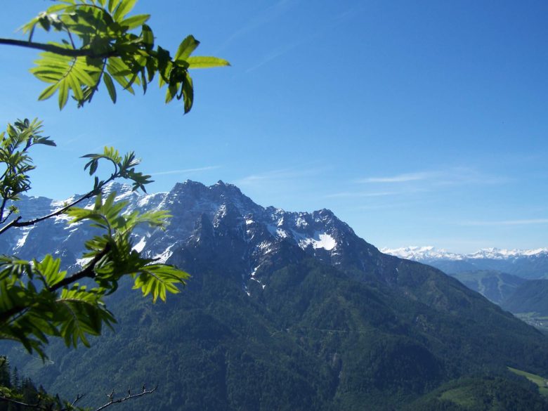 Nachhaltiger Urlaub im Hotel Tiroler ADLER