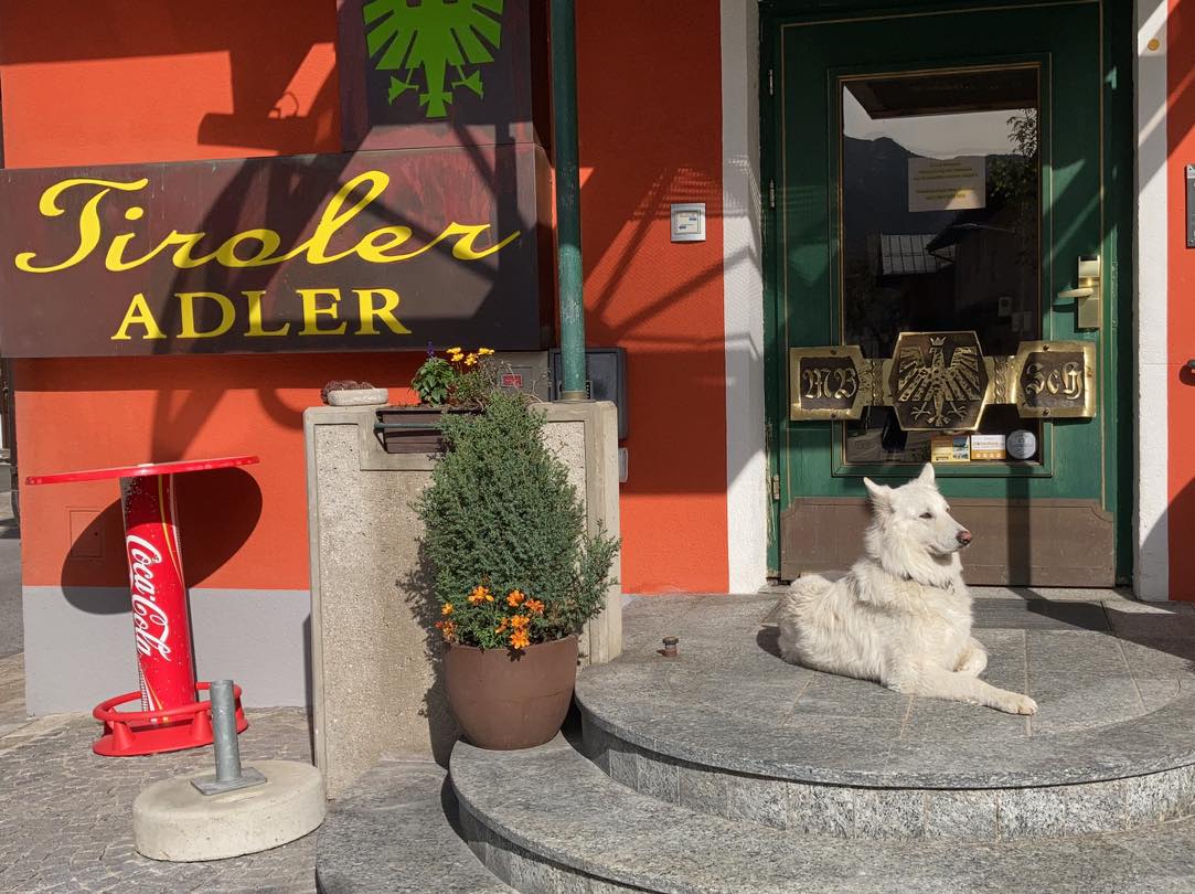 Hundehotel in Waidring im Tiroler ADLER