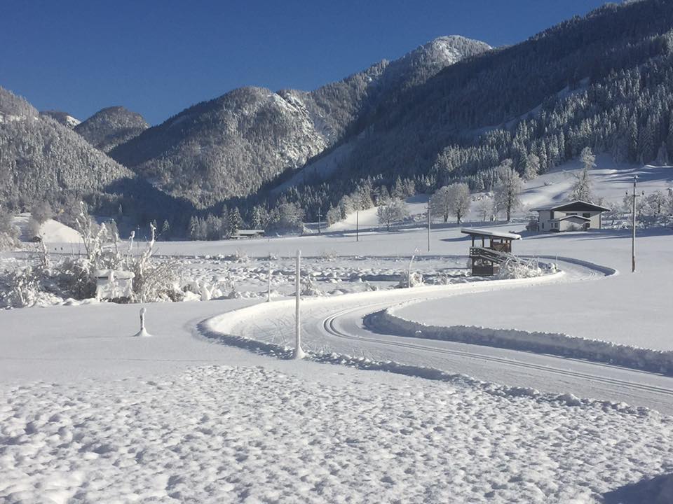 Angebote Hotel Tiroler Adler