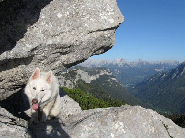 Hundezone Waidring Natur Tirol