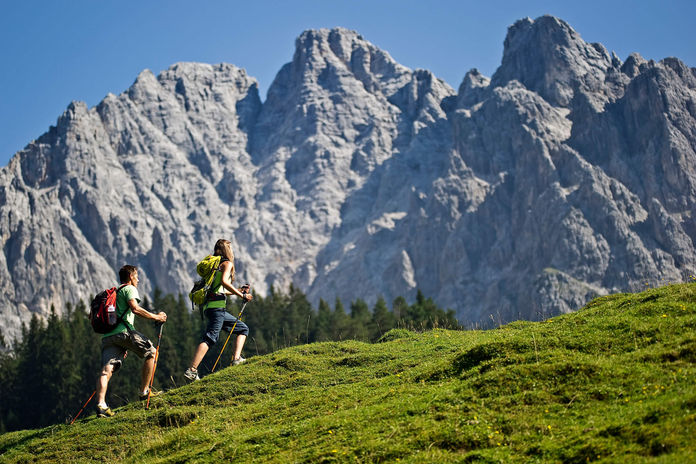 Wandern auf der Steinplatte Tirol im Sommer