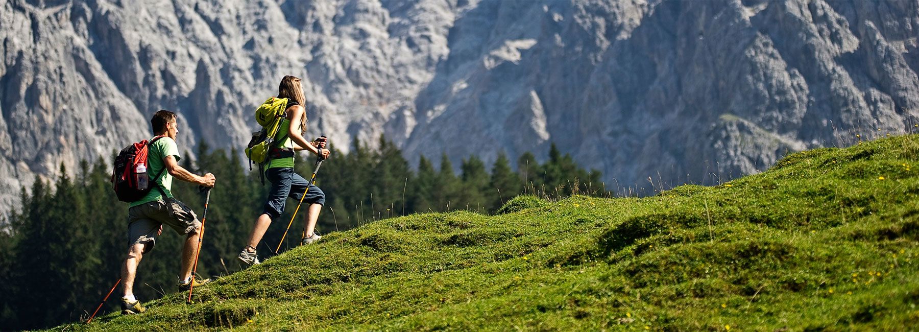 Wandern auf der Steinplatte Tirol im Sommer