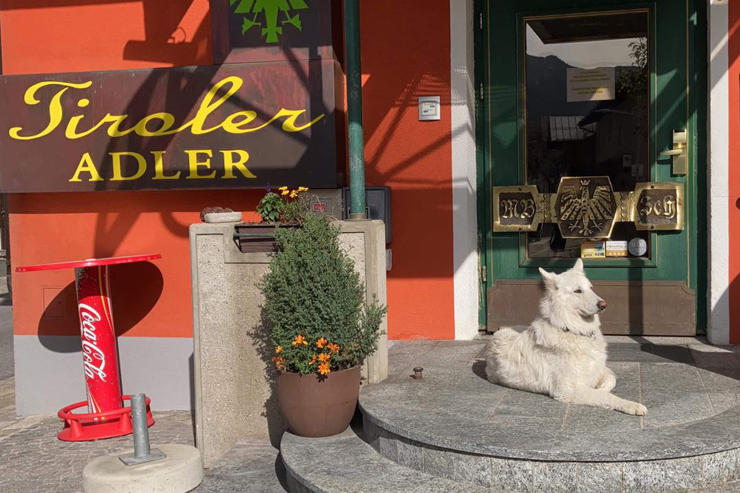 Hundehotel in Waidring im Tiroler ADLER